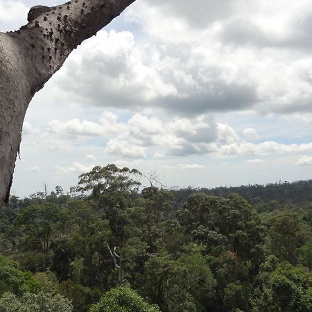Samboja Lodge Balikpapan Kültér fotó