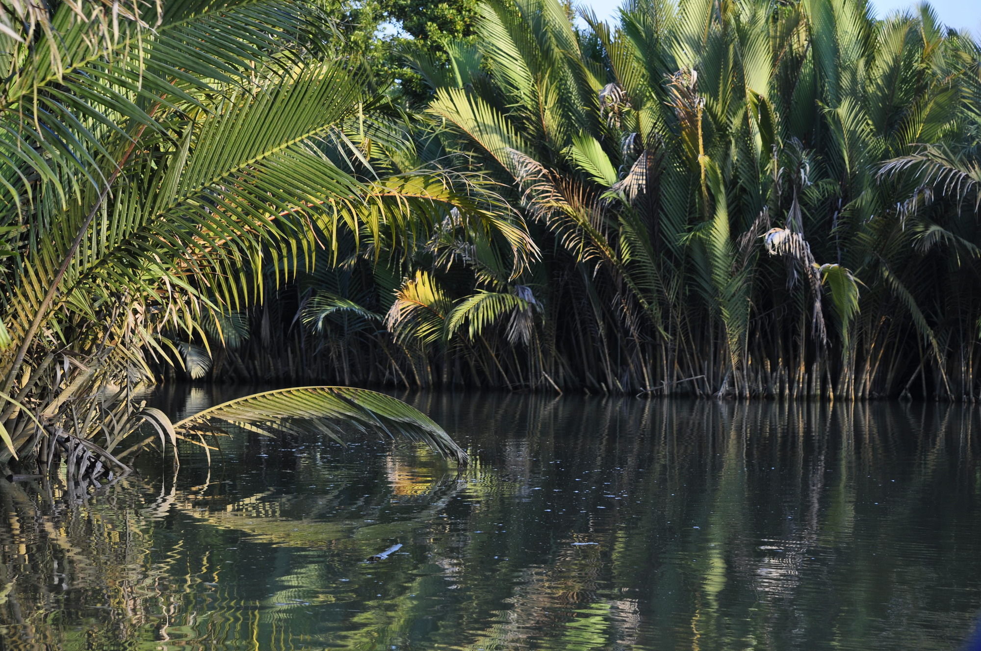 Samboja Lodge Balikpapan Kültér fotó