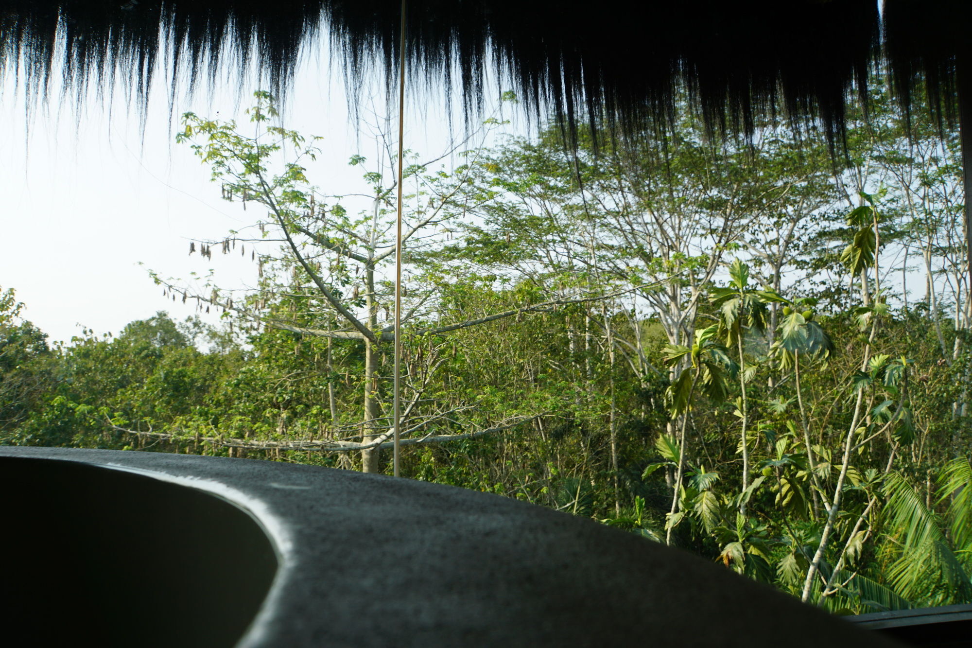 Samboja Lodge Balikpapan Kültér fotó