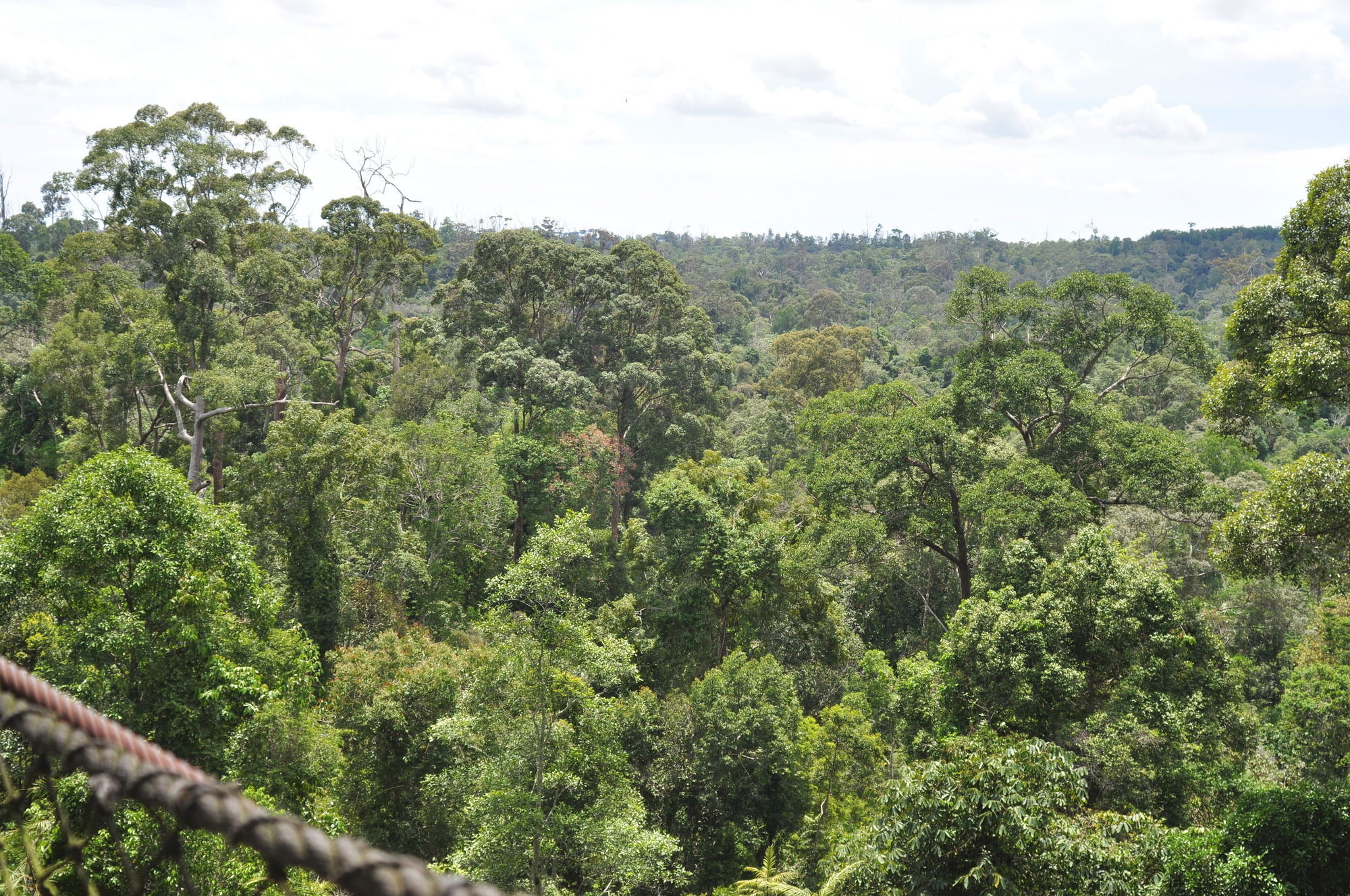 Samboja Lodge Balikpapan Kültér fotó
