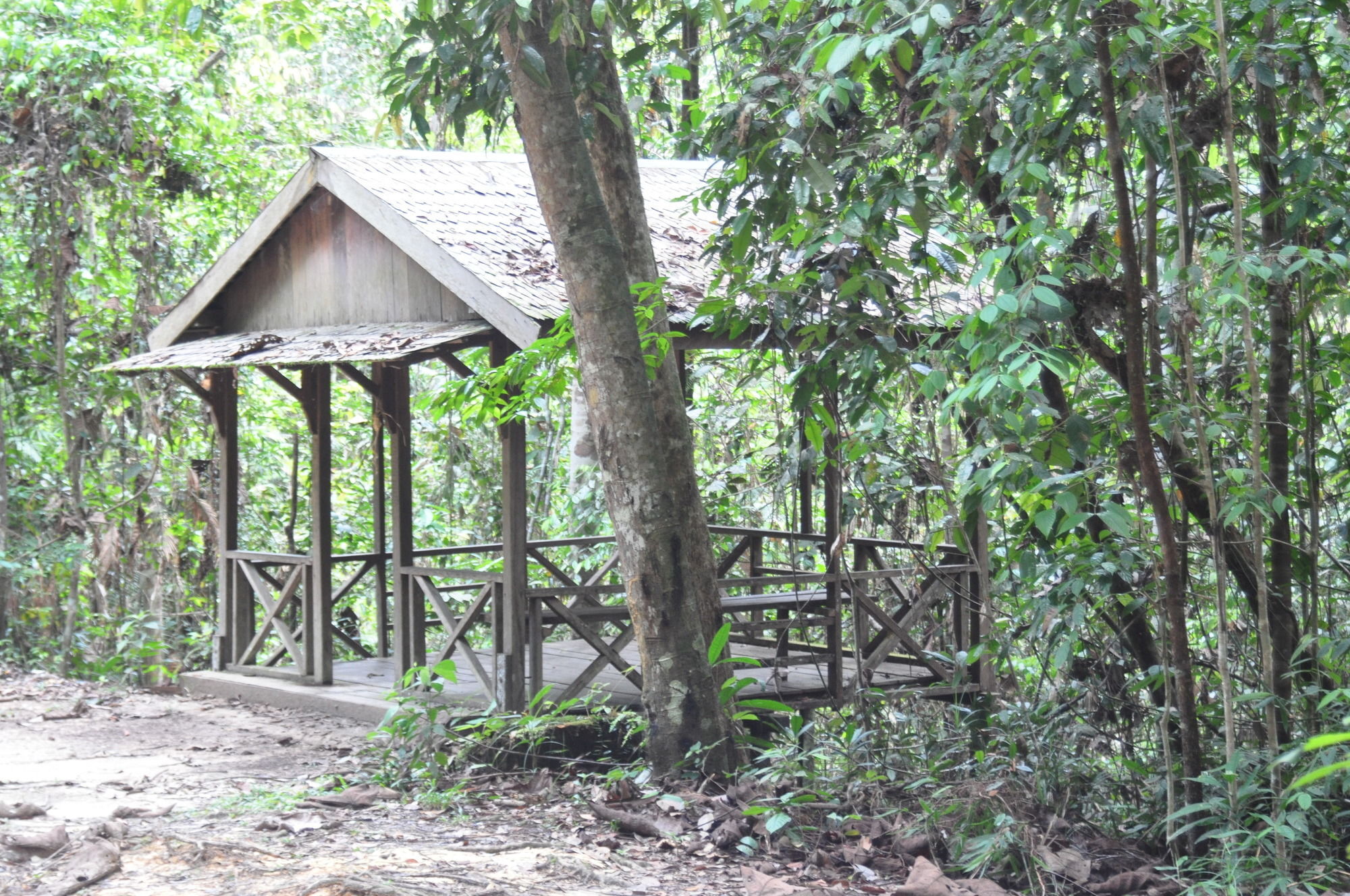 Samboja Lodge Balikpapan Kültér fotó