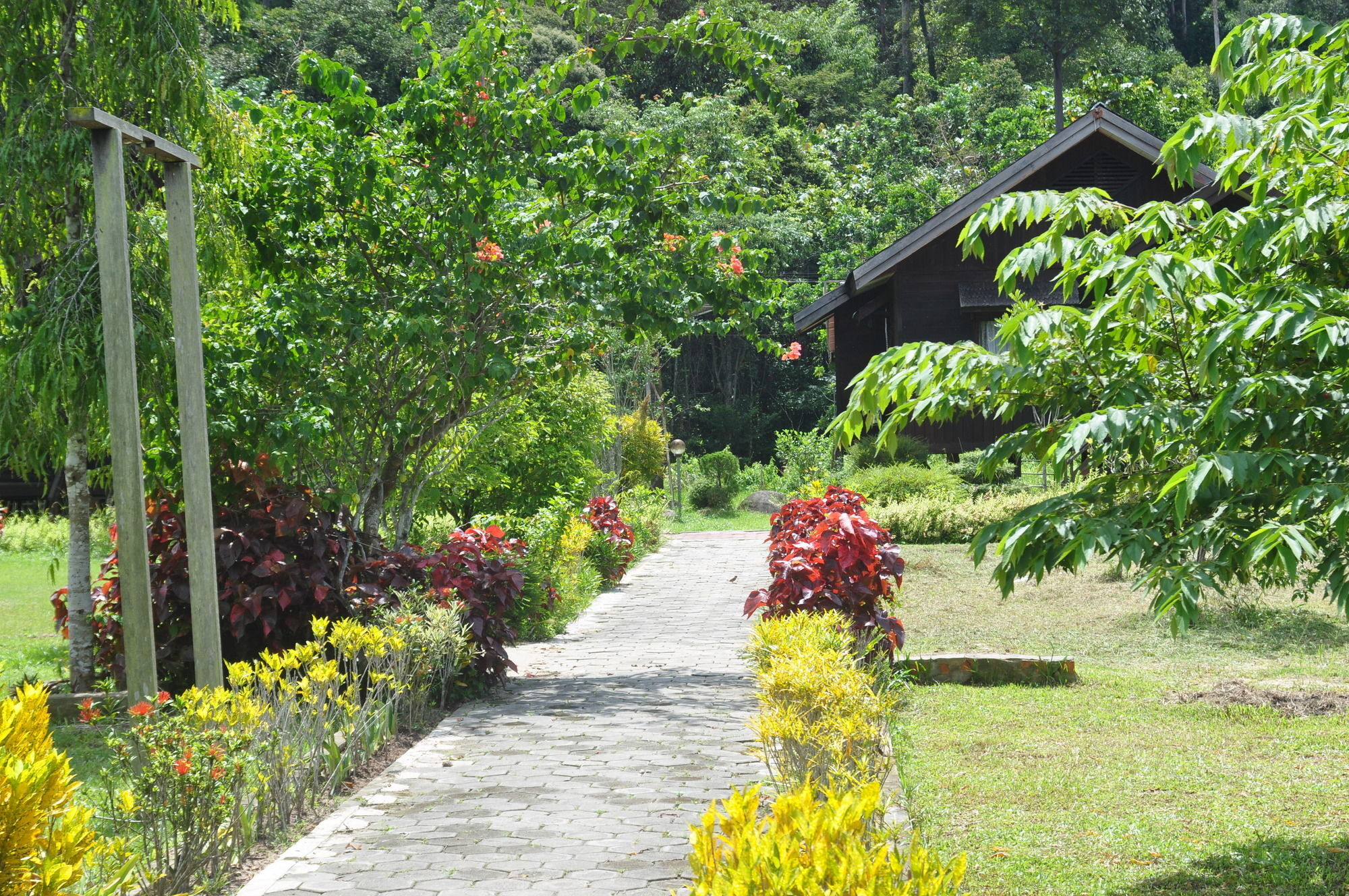 Samboja Lodge Balikpapan Kültér fotó