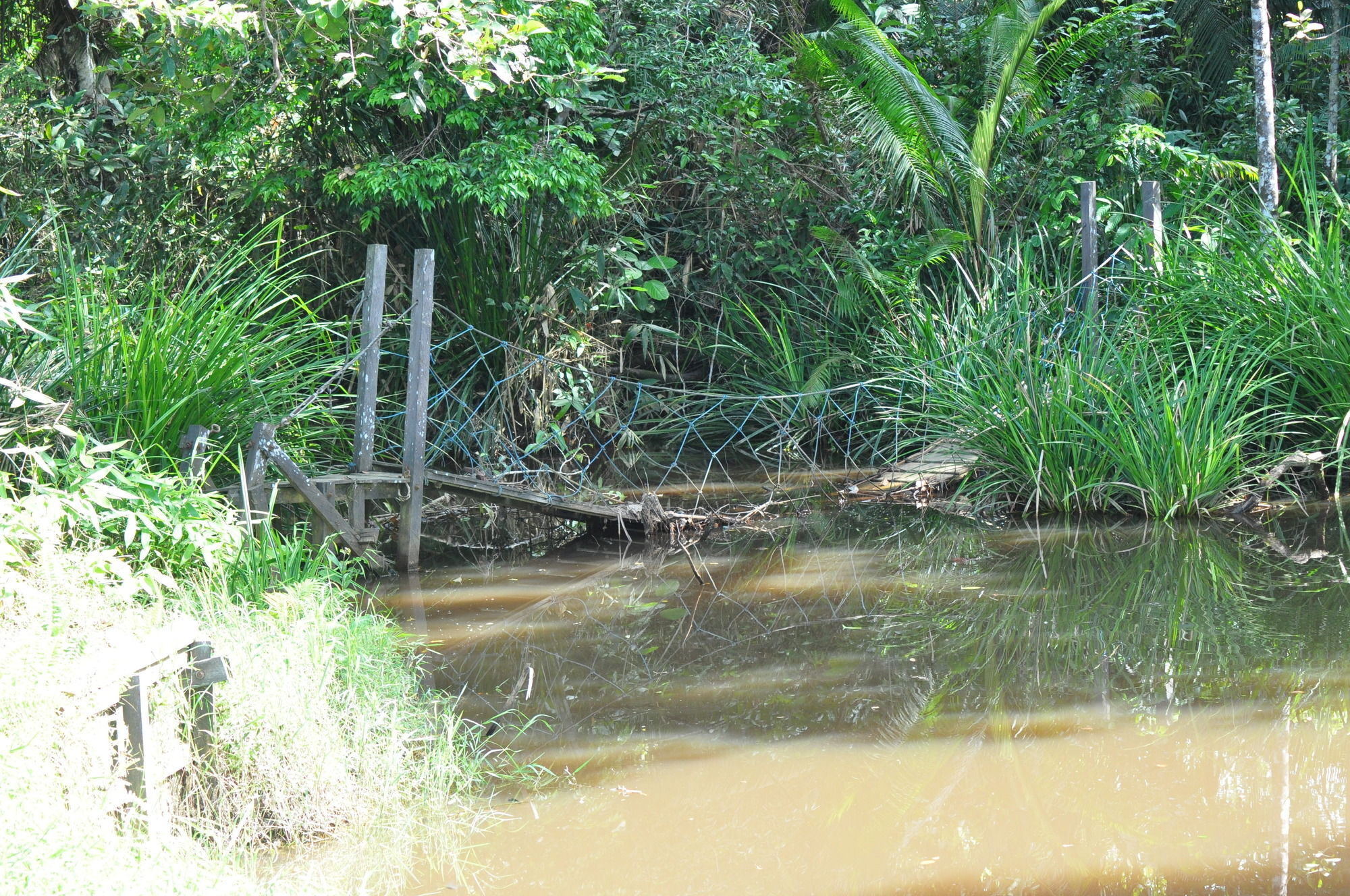 Samboja Lodge Balikpapan Kültér fotó