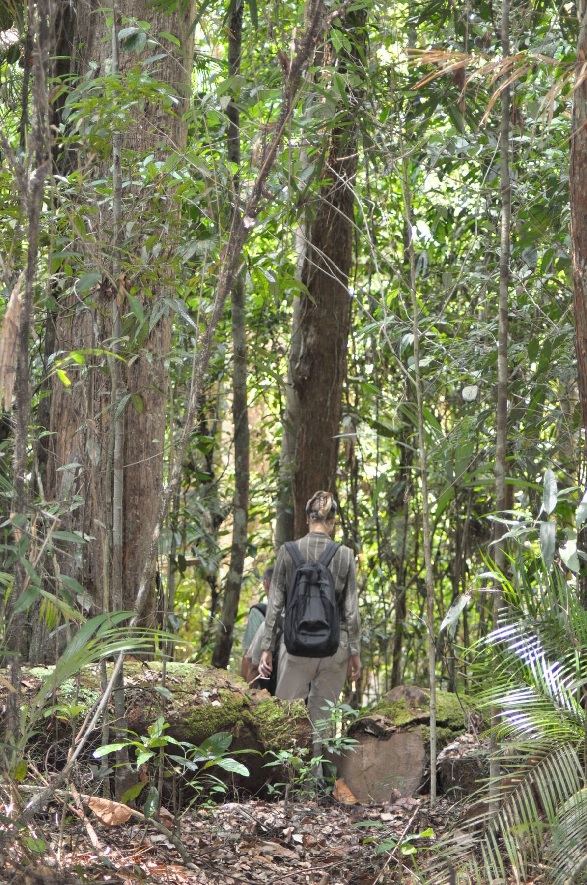 Samboja Lodge Balikpapan Kültér fotó