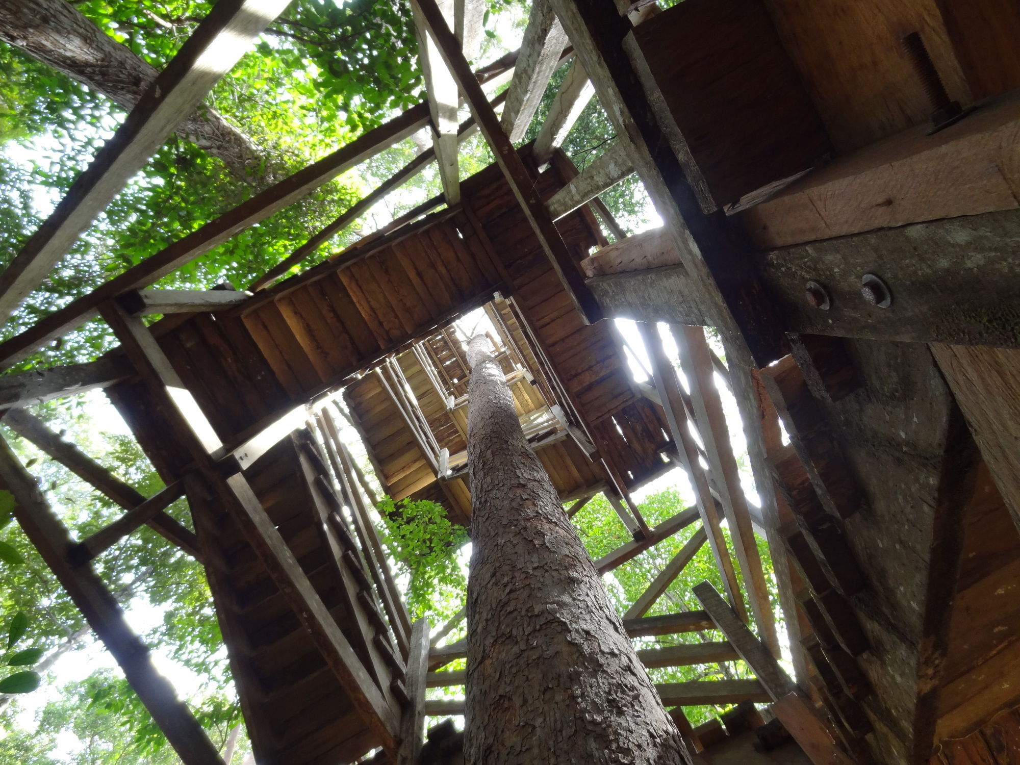 Samboja Lodge Balikpapan Kültér fotó