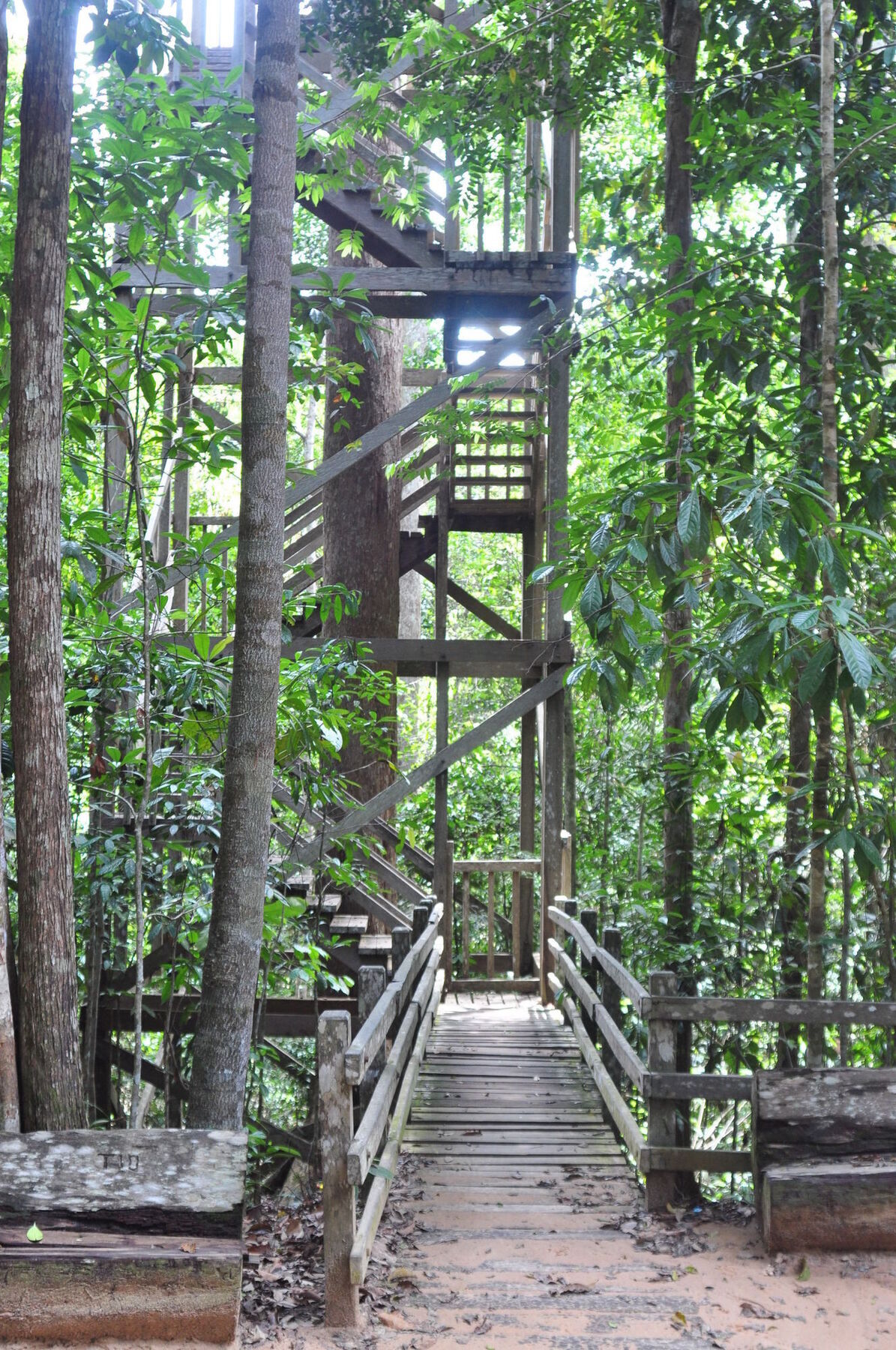 Samboja Lodge Balikpapan Kültér fotó